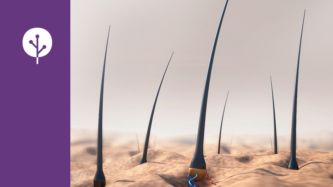 Light Tree Ventures Unleash The Power Of Light